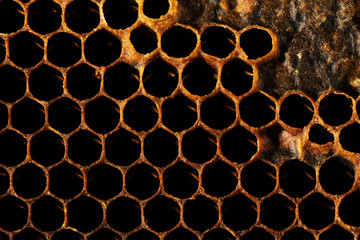 Honeycomb Texture Sweet nectar not yet extracted from the honeycomb. Background of honeycombs in dark golden hues. Macro shooting of honeycombs. Decorative background