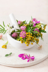 Obraz na płótnie Canvas medical flowers herbs in mortar. alternative medicine. clover milfoil tansy rosebay