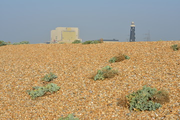 Shingle beach at Dungeness in front of the Nuclear power station and the old lighthouse.
