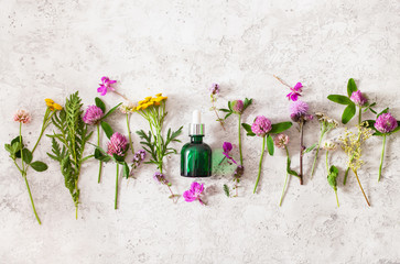 bottle cosmetic skincare serum medical flowers herbs. alternative medicine. clover milfoil tansy rosebay