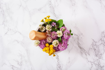 medical flowers herbs in mortar. alternative medicine. clover tansy thyme melissa