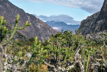 Fototapeta na wymiar Mountain Landscapes on Santa Cruz Trek in Huscaran National Park in the Cordillera Blanca in Northern Peru 