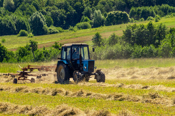 Fototapeta premium An old tractor turns over the mowed hay on a Sunny summer morning for better drying. Fodder for cows for the winter