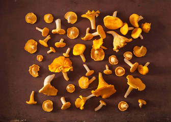 raw fresh chanterelle mushrooms flat lay on dark background © Olga Miltsova