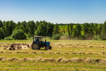 An old tractor is stirring the mowed hay on a Sunny summer morning for better drying. Fodder for...