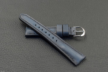 correa reloj (Strap)
