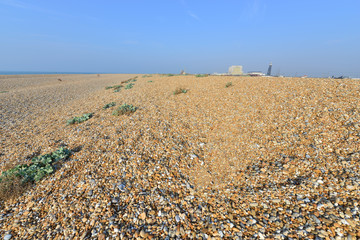 Shingle beach at Dungeness in Kent in Summer.