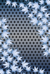 Fototapety Fototapeta4u Pl