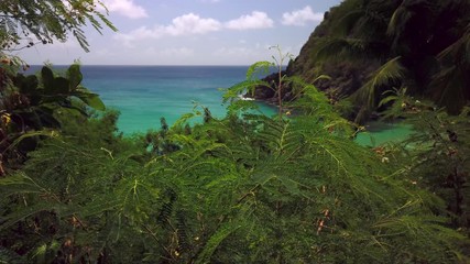 Fernando de Noronha Island, a UNESCO World Heritage site, Pernambuco, Brazil - July, 2019 - Beautiful and Colorful 4k footage at Dog Beach