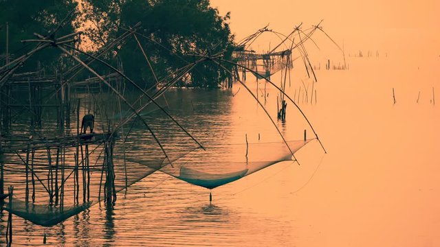 Silhouette Fisherman use giant fish trap during dawn. 