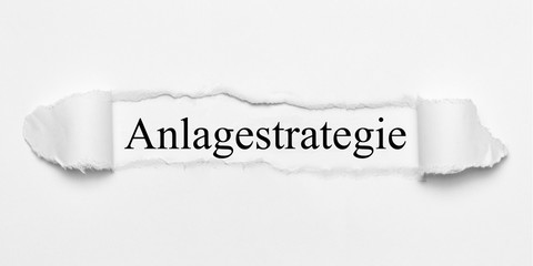 Anlagestrategie