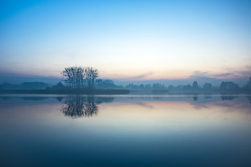 Trees on the shore of a foggy lake