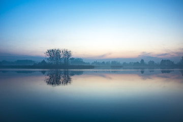 Fototapeta na wymiar Trees on the shore of a foggy lake
