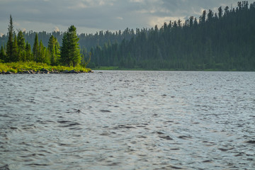 Beautiful mountain lake with pine trees and green grass on shore in front of hills during sunset, Ergaki national park, Siberia, Russia