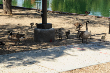 Sunset Regional Park, Las Vegas, NV.