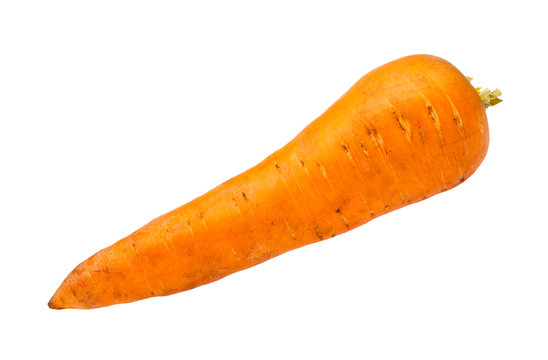 clean fresh garden carrot isolated on white