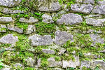 Древняя каменная стена с проросшим мхом