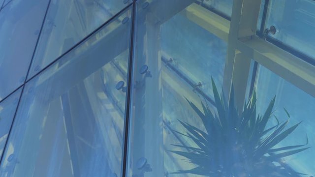 Showcase of a Modern Building with Palm Tree Inside. Glass Curtain Facade Wall. Fasteners Elements of Spider Glass System. Facade Detail. Tilt Up