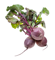 bunch of fresh organic garden beet roots isolated