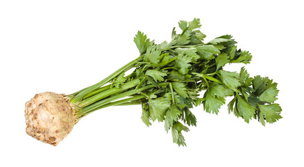 single fresh celeriac (celery root) with greens