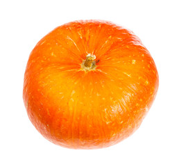 ripe orange pumpkin head isolated on white