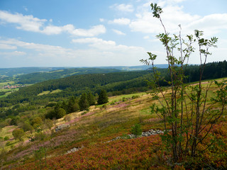 Obraz premium Die Wasserkuppe, der höchste Berg der Rhön und die Abtsrodaer Kuppe, Biosphärenreservat Rhön, Hessen, Deutschland.