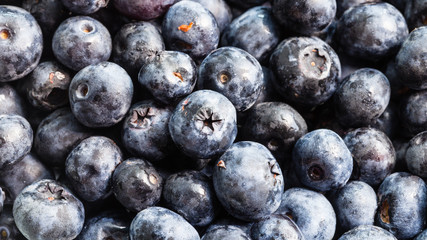 many fresh blueberries close-up