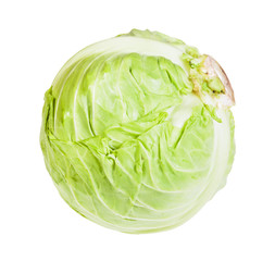 single fresh white cabbage isolated on white