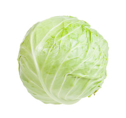 Fototapeta premium cabbagehead of white cabbage isolated on white
