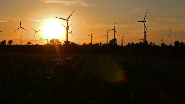 HD : Wind turbine farm with rays of light at sunset , High Definition 1920x1080 Video Format