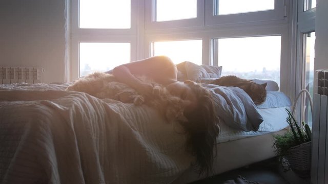 Beautiful romantic brunette woman lying on bed by the window with her lovely cat during amazing sunset