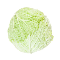 ripe savoy cabbage isolated on white