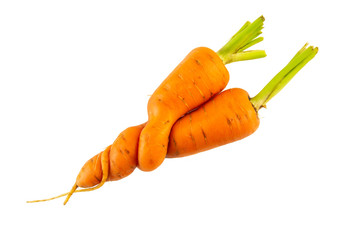 Hugging carrots isolated on white background