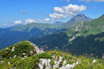 Naklejka na ściany i meble Abkhazia, summer mountain landscape. A view of the mountains Pshegishkhva