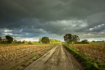 Fototapeta premium Sandy road through the fields and dark clouds