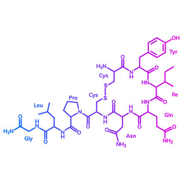 Oxytocine chemical formula, hormone of love and closeness