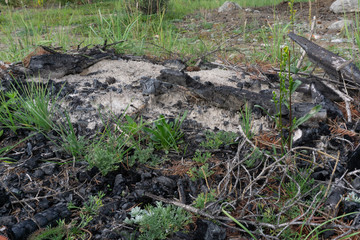 Fire Coal