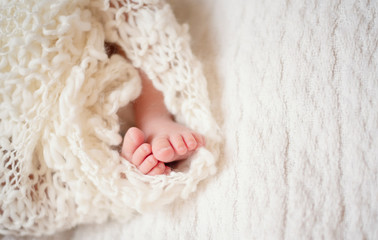 Newborn Baby Feet. Newborn Child. Baby Legs In Knitted Blanket. Beige Nude Background