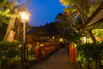 修善寺　桂橋の夜景