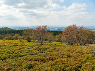 Die Wasserkuppe, der höchste Berg der Rhön und die Abtsrodaer Kuppe, Biosphärenreservat Rhön, Hessen, Deutschland.