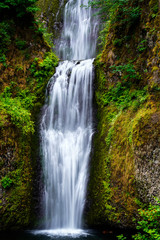 Fototapeta na wymiar Multnomah Falls - Oregon