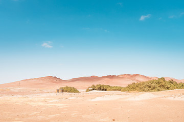 Fototapeta na wymiar Wandering through the desert of National Paracas Reserve, Pisco Peru