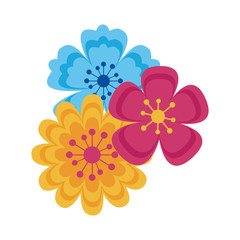 Isolated flowers ornament design