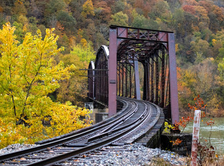 Autumn Colors