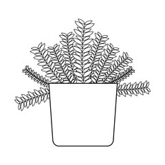 Isolated plant inside pot vector design