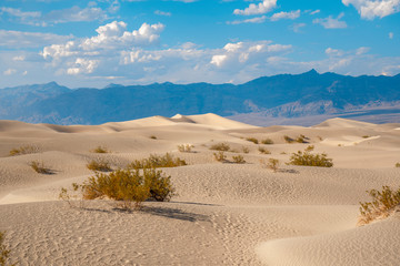 Fototapeta na wymiar The beautiful desert on a summer afternoon in Death Valley, California. United States