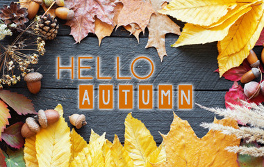 Hello Autumn composition 