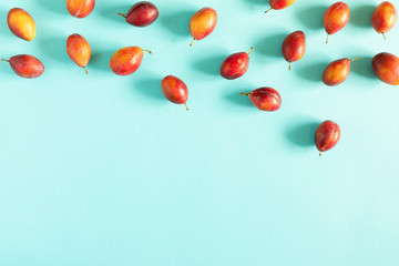 Fruit autumn composition. Plum pattern. Ripe juicy red plums on pastel blue background. Fall concept. Autumn background. Flat lay, top view, copy space