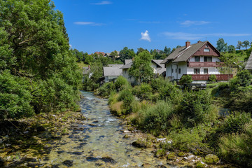 Fototapeta na wymiar Radovna river in Bled town.