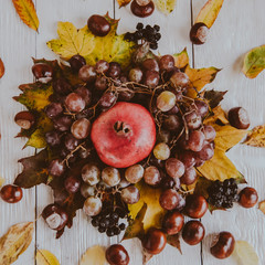 Naklejka na ściany i meble Autumn still life. apple, pumpkin, pomegranate, viburnum, leaves. Flatlay background